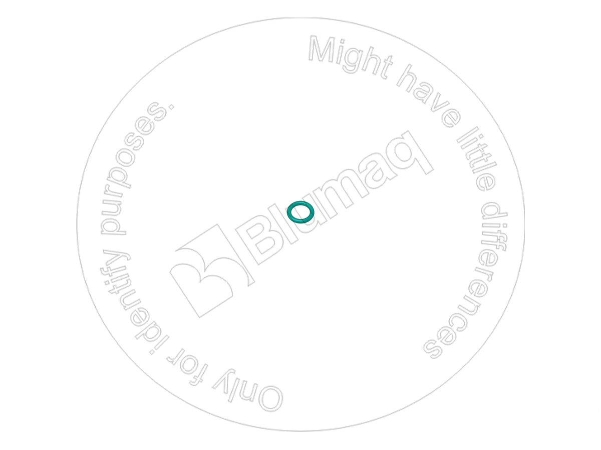 5W2913 BQ КОЛЬЦО КРУГЛОГО СЕЧЕНИЯ