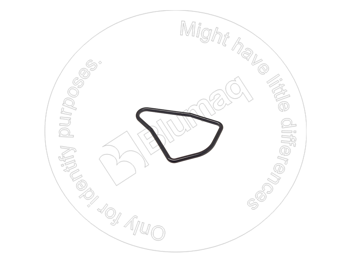 2524837 OR САЛЬНИК