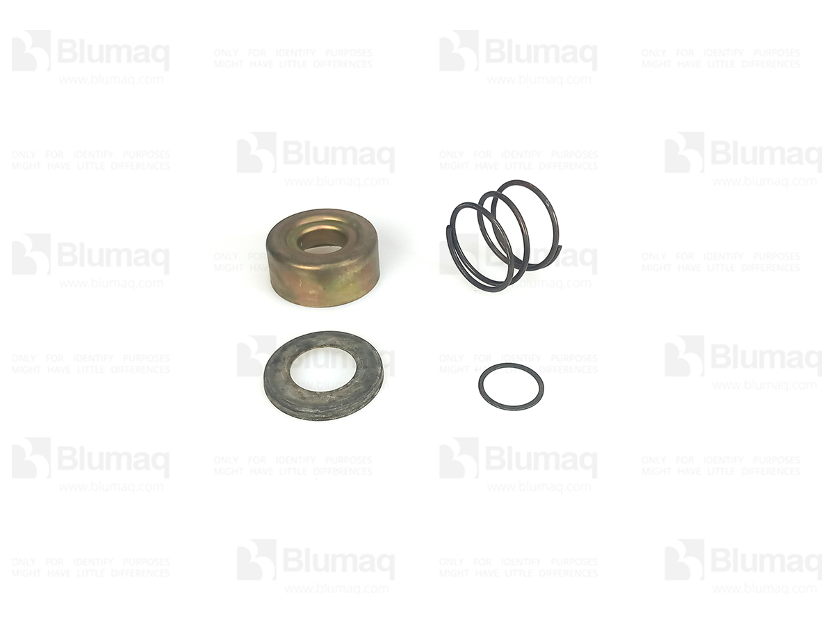 9S9768 OE КОМПЛЕКТ КОЛПАЧАКА И SP