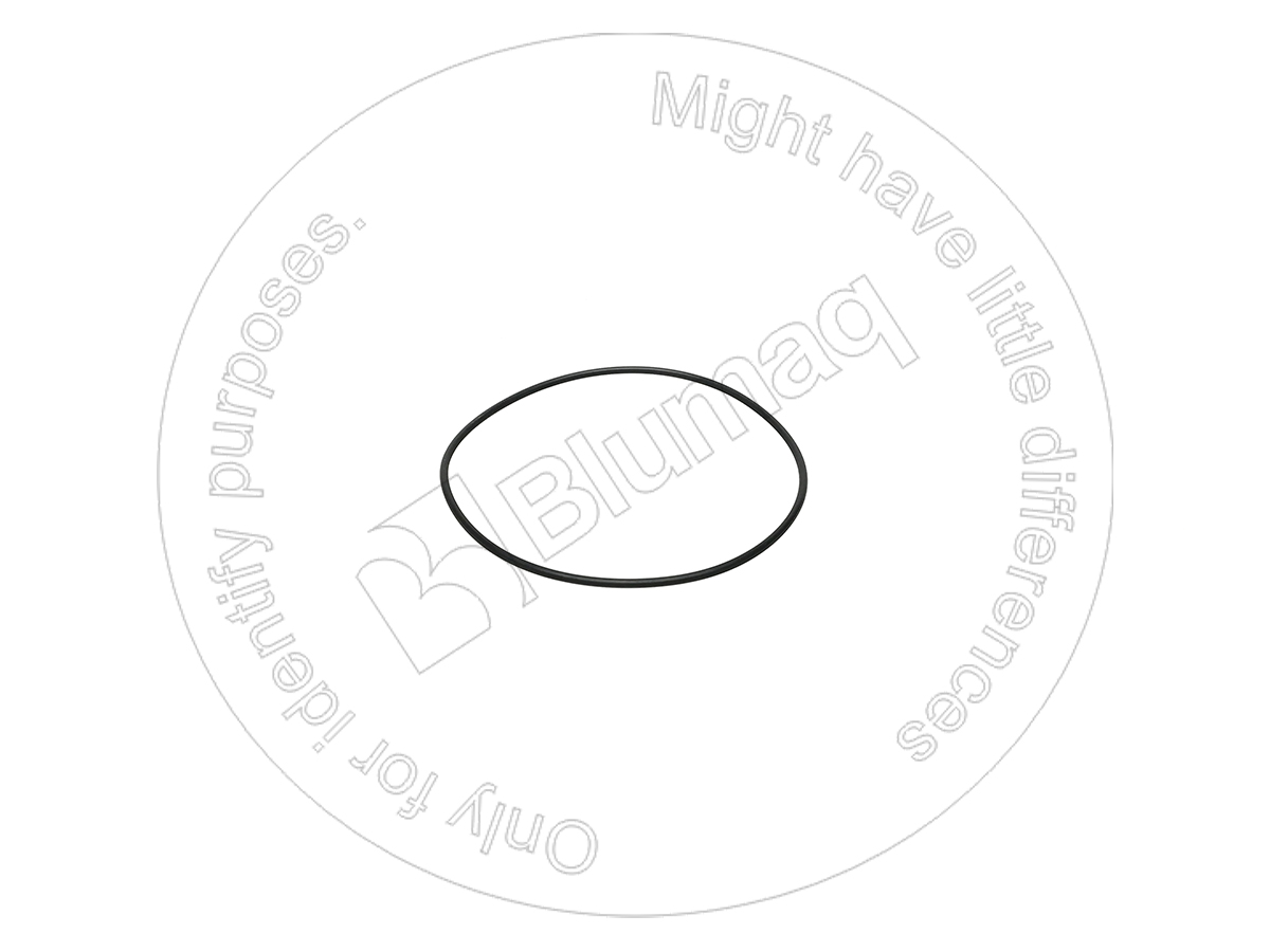 0813193 ST КОЛЬЦО КРУГЛОГО СЕЧЕНИЯ