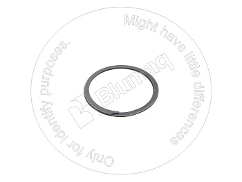 2D0592 OE КОЛЬЦО