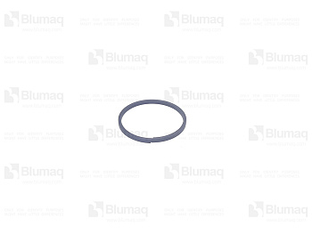 3049303 OE RING