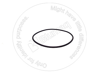 0037526 ST КОЛЬЦО КРУГЛОГО СЕЧЕНИЯ