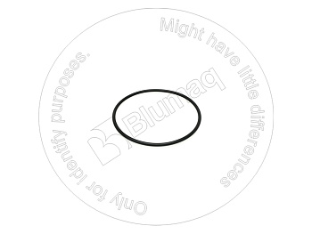 0785411 ST КОЛЬЦО КРУГЛОГО СЕЧЕНИЯ