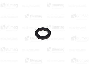 4731733 BQ HARD WASHER