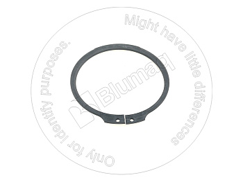 0981257 OE КОЛЬЦО