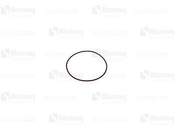 1927120 ST КОЛЬЦО КРУГЛОГО СЕЧЕНИЯ