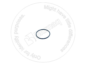 VOE975672 ST КОЛЬЦО КРУГЛОГО СЕЧЕНИЯ