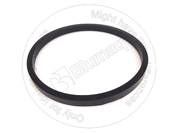 1921437 ST САЛЬНИК