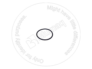 5W6579 ST КОЛЬЦО КРУГЛОГО СЕЧЕНИЯ