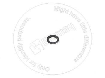 634148C1 OR ДВОРНИК
