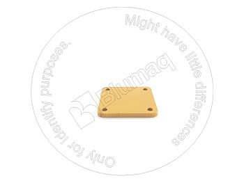 3924489 BQ КОЖУХ
