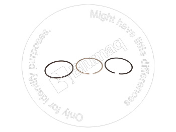 6732312350 OE CU4025012-PISTON RIN