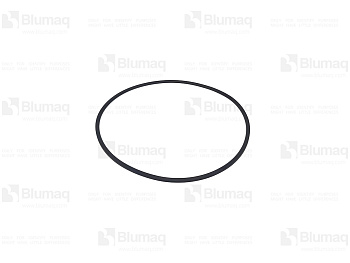 2738666 BQ SEAL ORING