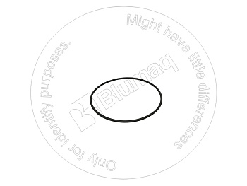 1757903 ST КОЛЬЦО КРУГЛОГО СЕЧЕНИЯ