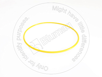 0700065210 ST КОЛЬЦО КРУГЛОГО СЕЧЕНИЯ