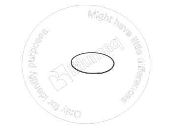 3706665 BQ ВОЗВРАТНОЕ КОЛЬЦО