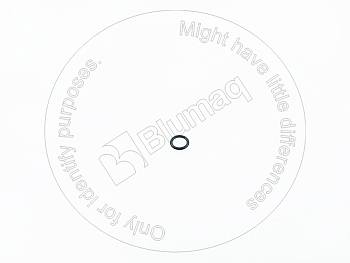 3816150021 OR КОЛЬЦО КРУГЛОГО СЕЧЕНИЯ