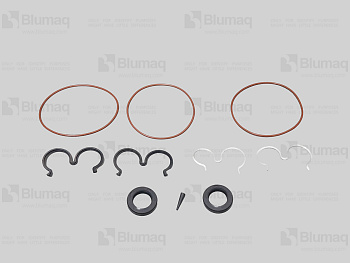1994885 BQ SEAL KIT-P