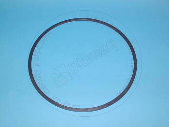 3W2025 OE КОЛЬЦО