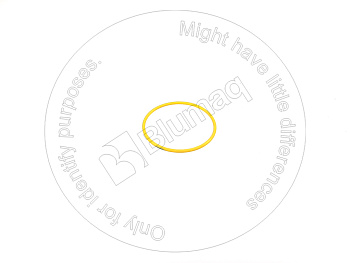 6216943770 OE КОЛЬЦО КРУГЛОГО СЕЧЕНИЯ