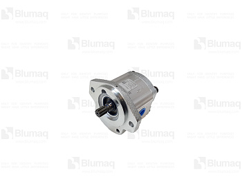 2762968 OE PUMP GP-GR