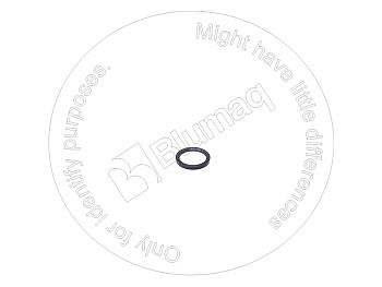 1P6441 ST ШАЙБА