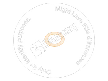 ND0954440020 OE КОЛЬЦО