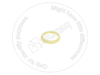 5J8156 ST САЛЬНИК