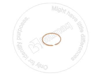 0701810653 ST КОЛЬЦО КРУГЛОГО СЕЧЕНИЯ