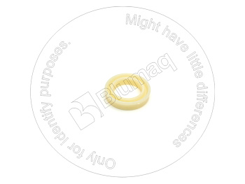 4S9006 ST САЛЬНИК