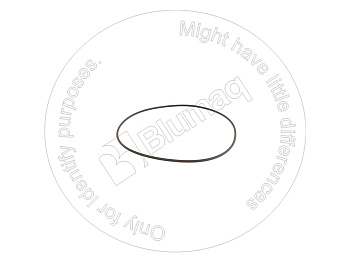 1671829 ST КОЛЬЦО КРУГЛОГО СЕЧЕНИЯ