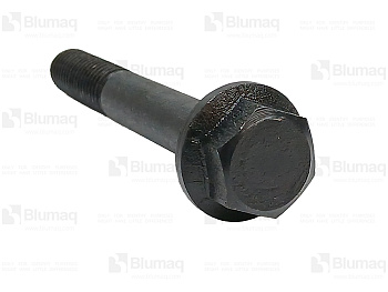 BQ106454219 BQ BOLT