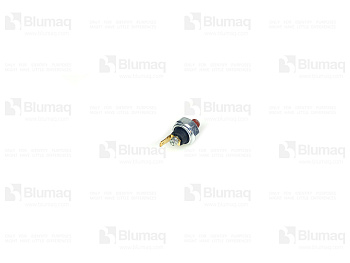 3776965 ST SWITCH-OIL