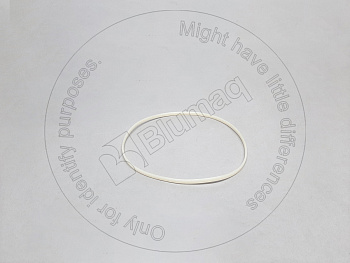 8T8378 ST САЛЬНИК