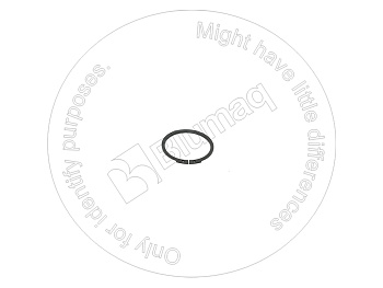 0950305 ST ПРУЖИННОЕ КОЛЬЦО