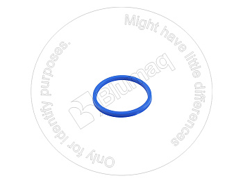 5U3532 ST САЛЬНИК