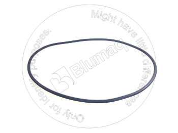 5336685 ST КОЛЬЦО КРУГЛОГО СЕЧЕНИЯ