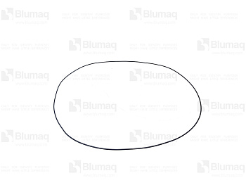 VOE60112872 BQ O-RING