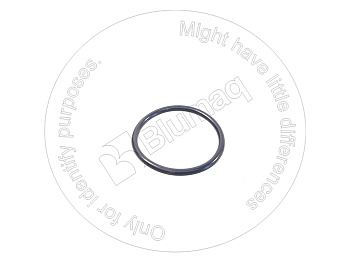 389876092C1 OR КОЛЬЦО КРУГЛОГО СЕЧЕНИЯ