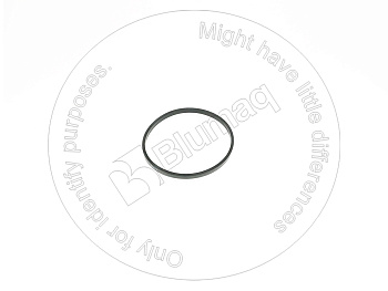 5M3374 ST САЛЬНИК