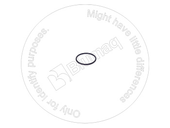 3523912 ST КОЛЬЦО КРУГЛОГО СЕЧЕНИЯ