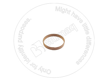 BQ1299388 ST НАПРАВЛЯЮЩЕЕ КОЛЬЦО
