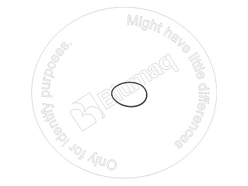 2069300 ST КОЛЬЦО КРУГЛОГО СЕЧЕНИЯ