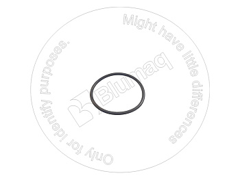1874872XY ST КОЛЬЦО КРУГЛОГО СЕЧЕНИЯ