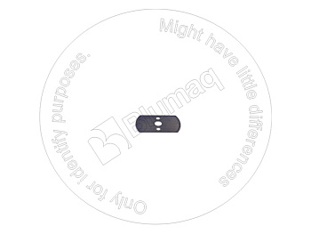 5695061360 OR PLATE