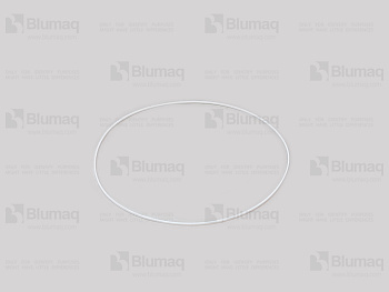 2799905 ST SEAL O-RING