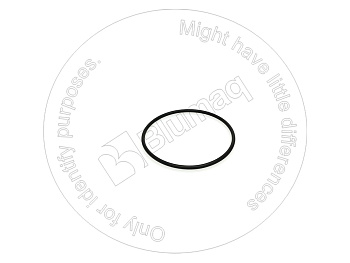 0780252 ST КОЛЬЦО КРУГЛОГО СЕЧЕНИЯ