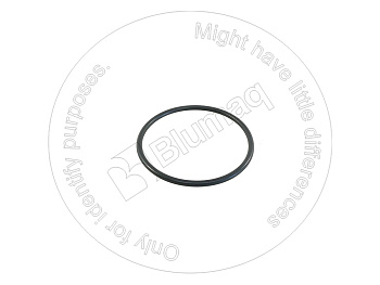 BQ3256621 BQ КОЛЬЦО КРУГЛОГО СЕЧЕНИЯ