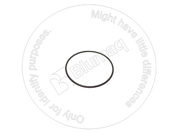 YM24325000700 OE КОЛЬЦО КРУГЛОГО СЕЧЕНИЯ